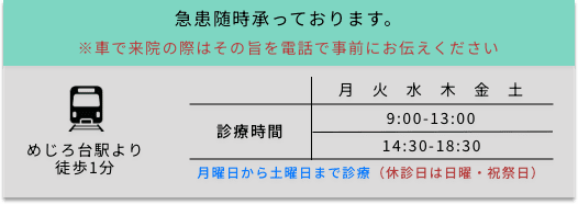 診療時間：9:00-13:00/14:30-18:30(日曜・祝祭日 休診日)
